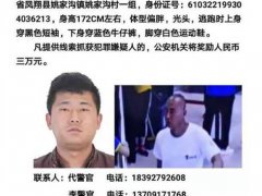 陕西凤翔发生重大刑事案件