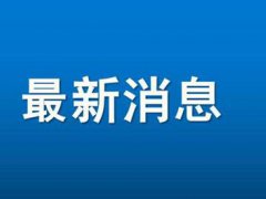 山东回应查处242起高考冒名顶替事件 山东回应242起高考冒名顶替