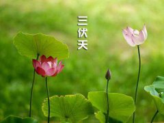 今年什么时候入伏天 今年什么时候初伏第一天