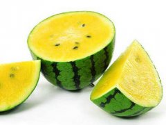夏天吃西瓜可以解暑吗 夏天吃西瓜能解暑吗