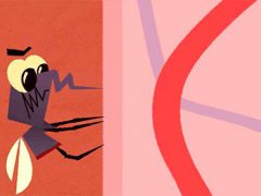 新冠病毒会不会通过蚊蝇传播 新型冠状病毒蚊蝇传播有影响吗