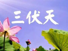 三伏天冬病夏治的原理 三伏天冬病夏治由来