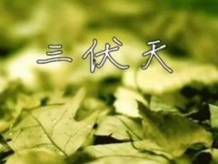 三伏天泡澡好吗 三伏天泡澡有什么好处