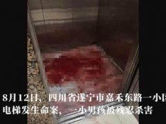 四川一精神病人电梯内砍死8岁男童 精神病人砍死8岁男童