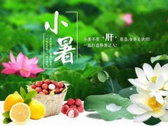 小暑是什么季节的节气 小暑是什么季节是入伏吗