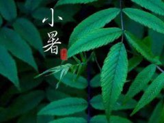 小暑结婚好吗