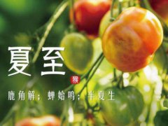 夏至为什么要吃蛋 夏至吃什么传统食物