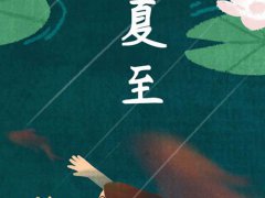 夏至能种什么农作物
