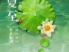 夏至喝什么茶最好