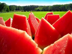 夏天吃西瓜过多会引起糖尿病吗 夏天吃西瓜血糖会高吗