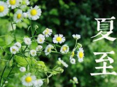 夏至节气的含义 夏至节气养生知识