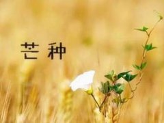 芒种有什么水果 芒种有什么植物