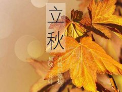 入秋之后是不是就凉快了 立秋后还会热多长时间 立秋后天气如何