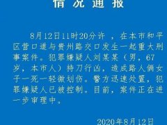 天津67岁男子持刀行凶致一死一伤 天津67岁老人当街持刀砍人