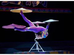 身亡杂技演员家属不接受50万赔偿 杂技演员家属不接受50万赔偿