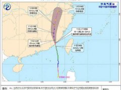 台风米克拉登陆福建沿海 福建和台湾局地大暴雨