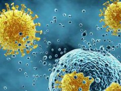 日本研究发现变异新冠病毒 日本发现变异病毒
