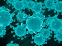新冠病毒的传染性超出最初预期 半年抗疫“新冠”刷新认知