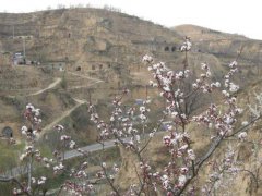 工程师回应举报家乡环境问题获刑 女子举报家乡环境问题获刑