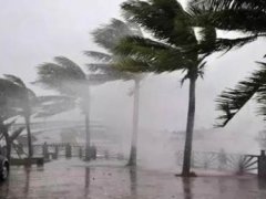 暴雨台风双预警 暴雨台风预警信号