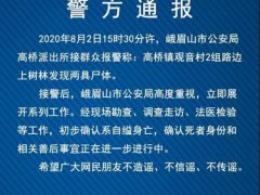 峨眉山警方通报林间发现两具尸体 警方初判上吊自杀