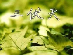 三伏天感冒了怎么办 三伏天感冒怎么样好得快 三伏天感冒了怎么做才好