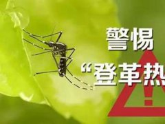 新加坡登革热疫情最新消息 新加坡遇史上最严重登革热疫情