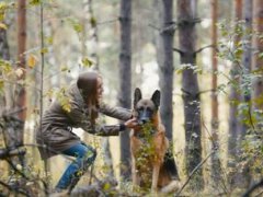 英国首例感染新冠病毒的狗死亡 英国首例宠物猫检测出新冠病毒