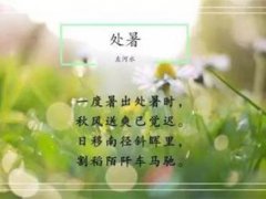 今日处暑 今日处暑什么时候 今日处暑什么意思