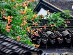 梅雨季节是什么时间 梅雨季节是几月份到几月份结束