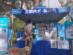 深圳犬只未植入芯片将被视为无证养犬 深圳犬只电子芯片