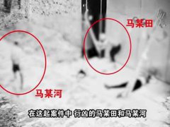 铁锹杀人案加害者系女童近亲 铁锹杀人案系近亲