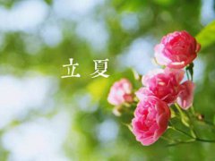 立夏养生应该注意些什么 立夏养生吃什么最好