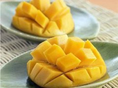吃芒果能喝酸奶吗 吃芒果喝酸奶会过敏吗