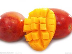 吃芒果会长胖吗 吃芒果会不会长肉 吃芒果会发胖吗