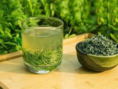 绿茶去湿气吗 绿茶湿气重的人能吃吗 绿茶喝了湿气会不会更重