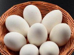 鹅蛋的最佳吃法 鹅蛋的七种吃法 鹅蛋怎么吃最营养 鹅蛋的几种做法 鹅蛋怎么