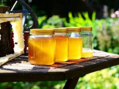 蜂蜜怎么吃 蜂蜜怎么吃效果最好 蜂蜜怎么吃减肥效果好