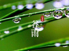 谷雨节气有什么讲究 谷雨节气有什么禁忌 谷雨节气有什么说法