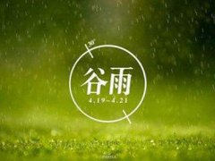 谷雨节气的谚语 关于谷雨节气的谚语 关于谷雨节气的谚语有哪些