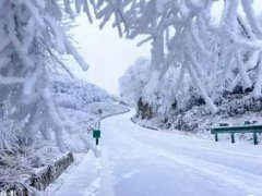 四月下雪怎么发朋友圈 四月下雪的说说 四月下雪文案