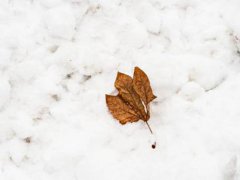 四月下雪文案 四月下雪的说说 四月下雪的文案