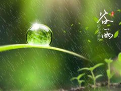 谷雨是什么意思呢 谷雨节气的说法 谷雨时节节气特点