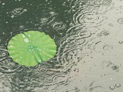 端午节后还会下雨吗 端午节过后雨水多吗