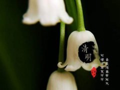 清明节过生日好不好 清明节过生日怎么办 清明节过生日怎么办