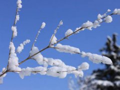 四月下雪有什么说法 四月下雪代表什么 四月下雪正常吗