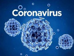 新冠病毒的来源 新冠病毒来源到底是什么 新冠病毒来源是什么