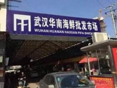 武汉华南海鲜市场第一个感染者 武汉华南海鲜市场第一个被感染的人 华南海鲜