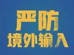 国内境外输入病例有多少