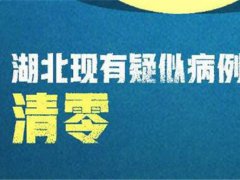 湖北疑似病例清零 湖北清零数据上报员哭了